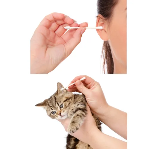 Vista 6 de 400 hisopos de algodón con puntas de doble precisión con palitos de cartón, brotes desechables de algodón para limpieza de maquillaje y pintura