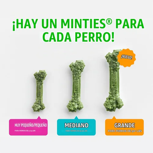 Vista 4 de Minties VetIQ - Golosinas dentales en hueso para perros, masticables dentales para perros medianos a grandes (más de 40 libras), 40