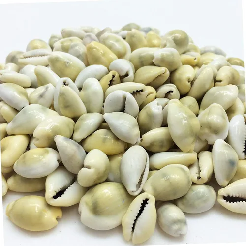 Vista 6 de PEPPERLONELY Purple Ring Cowrie Sea Shells, 8 OZ Aprox. 250+PC Shells, 1/2 pulgada