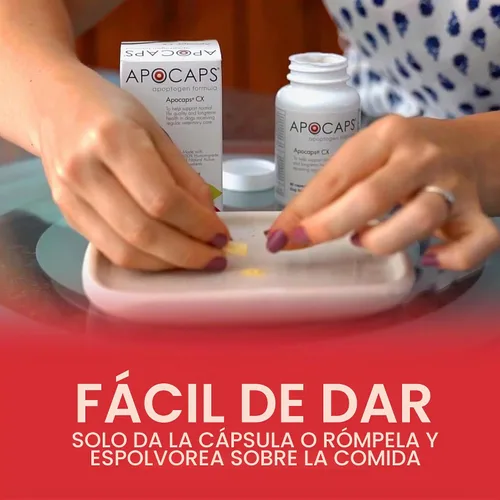 Vista 5 de apocaps CX apoptogen Fórmula para perros (90 Cápsulas), paquete de de 1