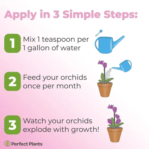 Vista 6 de Perfect Plants Fertilizante líquido para orquídeas de 8 oz. Alimento vegetal para todas las variedades epífitas Fomenta la repetición de auges