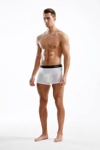 Vista 4 de Calzoncillos de microfibra modal sin costuras para hombre, paquete múltiple