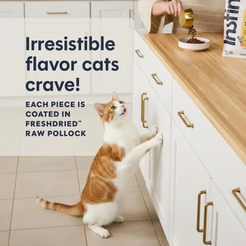 Vista 4 de Instinct Original - Alimento seco para gatos, Chicken