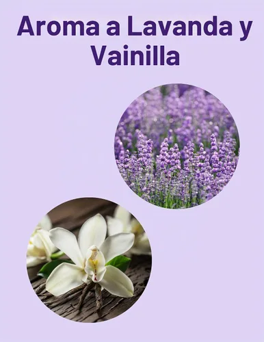 Vista 2 de Power Stick Lavender Vanilla Desodorante para mujer, sin aluminio, 2.5 onzas, paquete de 2