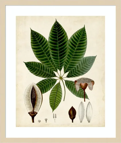 Vista 13 de Amanti Art Vision Studio - Lienzo decorativo para pared, 24 x 20 pulgadas, follaje verde VII por Vision Studio, arte de pared de naturaleza