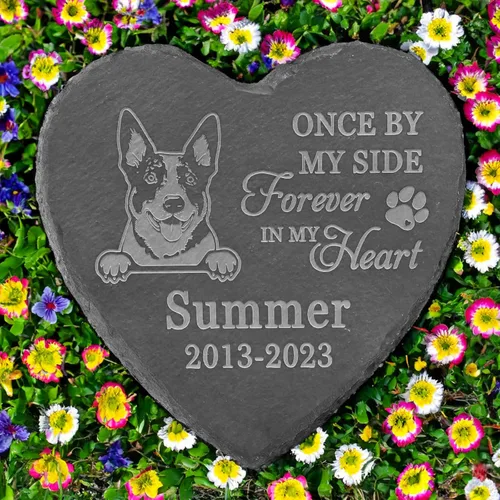 Vista 15 de Regalos conmemorativos de American Staffordshire Terrier, piedra de terrier estadounidense de Staffordshire, regalos de pérdida de American