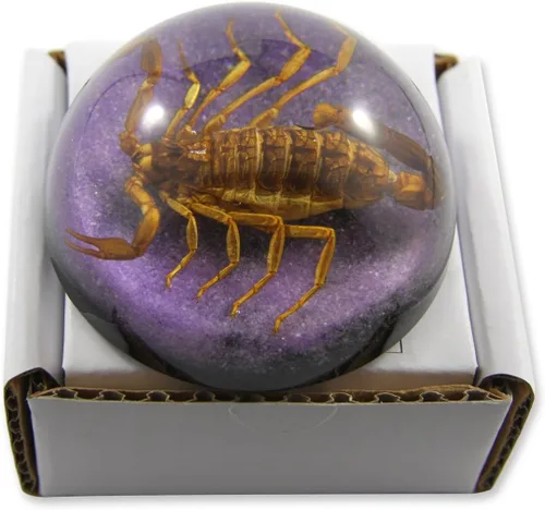 Vista 2 de REALBUG 2 1/2 x 1 1/4" Golden Scorpion Dome Pisapapeles Púrpura