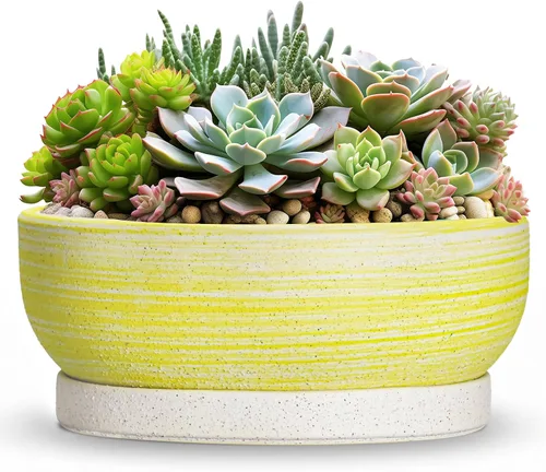 Vista 13 de Succulent Pots, 6 Inch Ceramic Bonsai Pots with Saucer, Blue