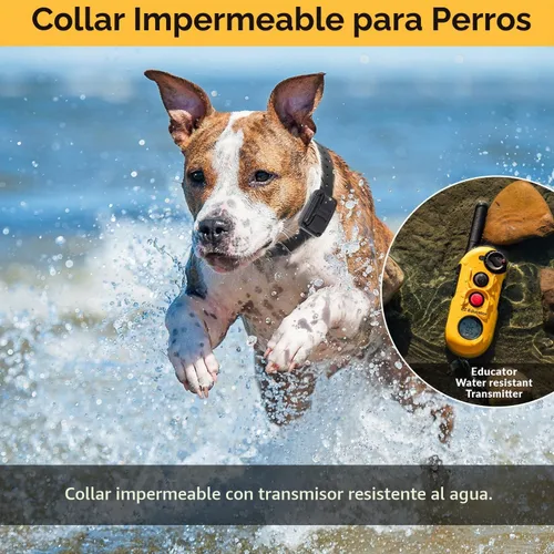 Vista 5 de E-Collar Educator EZ-900 - Collar de adiestramiento para perros con mando a