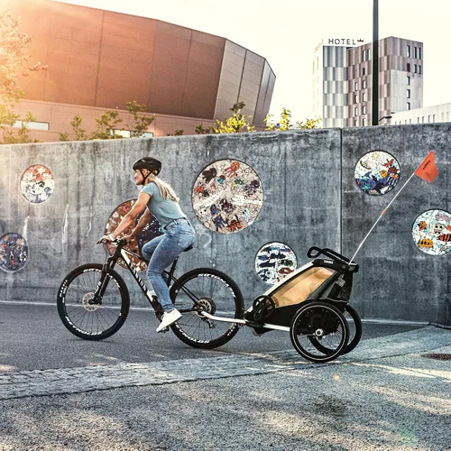 Vista 8 de Thule Chariot Lite - Remolque y cochecito multideportivo Agave