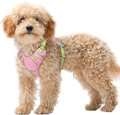 Vista 92 de BARKBAY Arnés para Perro Sin Tirones Talla Grande Arnés Reflectante para Perro con Clip Frontal y Asa de Control Fácil para Caminar Entrenar Correr