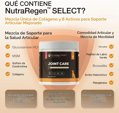 Vista 3 de NutraRegen Select Forte Suplemento para articulaciones de perros mayores – Glucosamina, condroitina, MSM, colágeno y mejillón de labios verdes