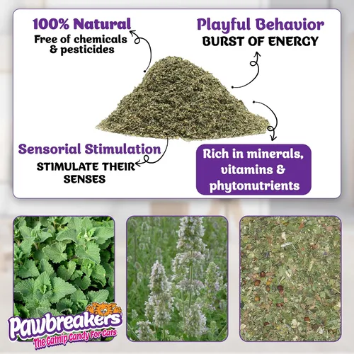 Vista 2 de Pawbreakers® Vitanip® Catnip Cat Treats & Toys - Suplemento nutricional felino Diamond V® - Hierba gatera segura y postbiótica para gatos