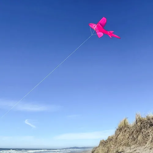 Vista 3 de in The Breeze 3D Shark Kite - Single Line - Easy-Flying - Includes Kite Line and Bag