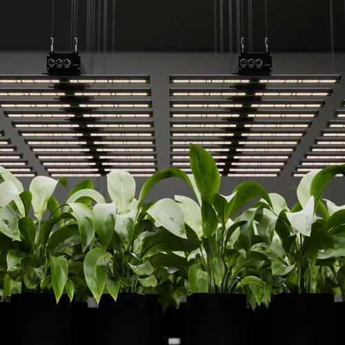 Vista 7 de Luz LED de cultivo de 320 W con 7 espectros ajustables (UV e IR), lámpara de planta de espectro completo regulable para cobertura de 3 x 3 pies