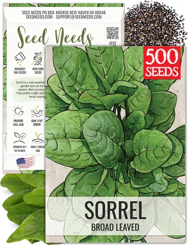 Vista 11 de Seed Needs, Semillas de acedera de hoja grande, 500 semillas tradicionales para plantar Rumex acetosa, hierba medicinal o culinaria sin OMG y sin