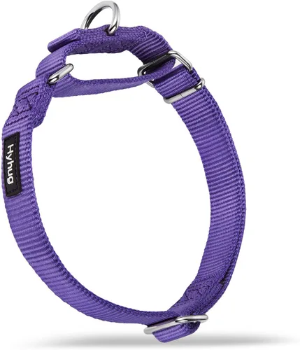 Vista 18 de Hyhug Collar Martingale para perros pequeños, color verde, resistente a prueba de escape, nailon duradero, sin hebilla, ideal para entrenamiento