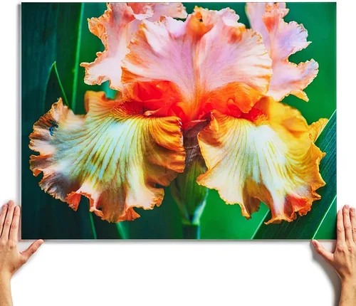Vista 7 de Fracture - Impresión de foto en vidrio personalizada – 12 x 16 cm Tamaño de retrato extra pequeño Sube tu propia foto Arte de pared de vidrio
