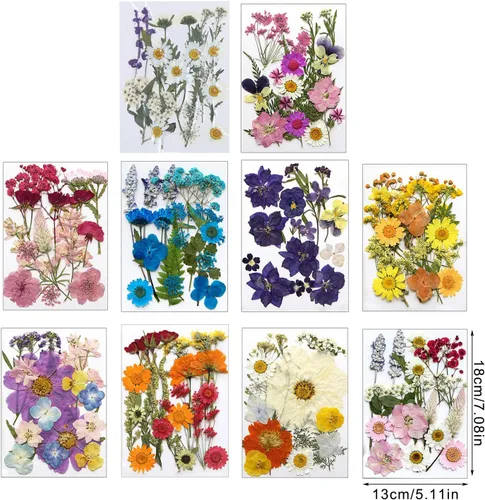 Vista 3 de Natural Pressed Dried Flower for Epoxy Resin Dry Flowers and Leaves Set for Soap Jewelry Making Scrapbooking Phone Case Decoration Section B
