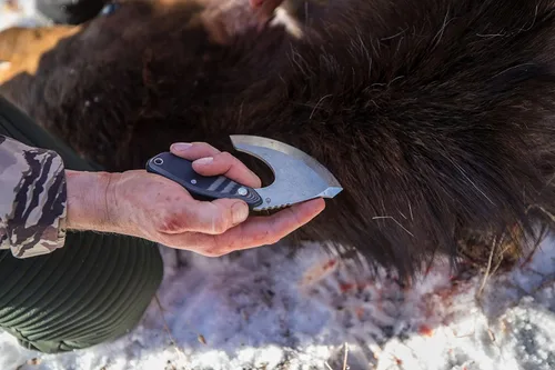 Vista 6 de Gerber Gear Downwind Ulu - Cuchillo Ulu con funda para equipo de caza, color negro