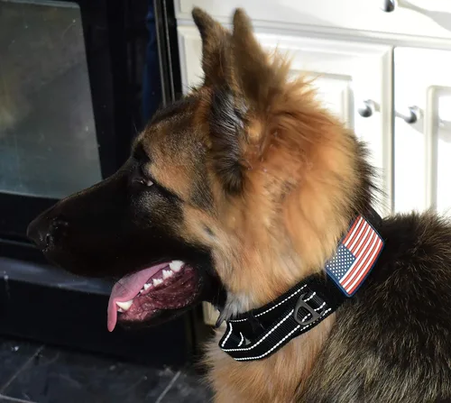 Vista 8 de Collar táctico para perros de 2 pulgadas de ancho con asa de control, ajustable para perros medianos y grandes, estilo militar con hebilla de metal