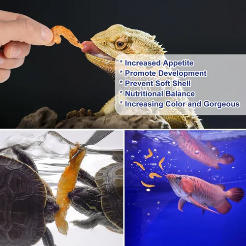 Vista 6 de Camarones gigantes de Krill liofilizados, alimento natural para reptiles de tortugas, dragones barbudos, peces tropicales y anfibios (4 onzas)