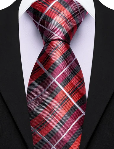 Vista 5 de Barry.Wang Juego de corbatas de seda para hombre, corbatas de boda de seda tejida formal de negocios casual (4/6/8PCS)