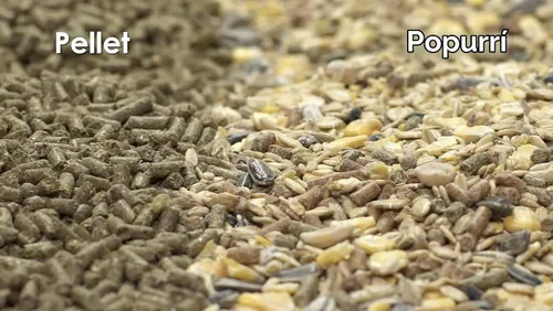 Vista 5 de Alimentos para conejo Kaytee Supreme , Verdes Daily balanced nutrition. Bunny food with seeds, grains and pellets. Rabbit pellets, no artificial