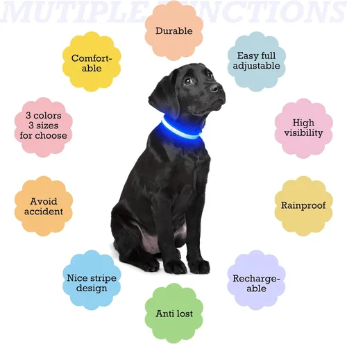 Vista 5 de Collar de perro LED, collar con luz para perro, para caminar por la noche Azul-2