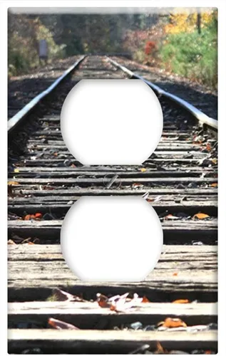 Vista 5 de Placa de conmutación doble - Tren de vías de transporte ferroviario