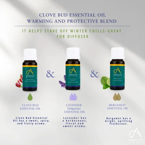 Vista 3 de Absolute Aromas Aceite Esencial de Clavo 0.3 fl oz