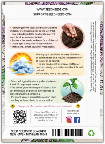 Vista 2 de Seed Needs, Pennyroyal - Semillas de menta – 1000 semillas tradicionales para plantar mentha pulegium – Hierba medicinal sin OMG y sin tratar