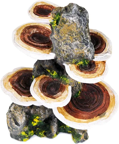 Vista 7 de Penn-Plax Deco-Réplicas - Tronco de árbol con estante para decoración de acuario de hongos, seguro para peceras de agua dulce y salada