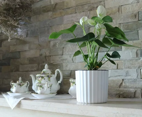 Vista 6 de MUZHI Maceta de orquídea con red y agujeros, maceta de riego automático redonda para plantas de interior y flores, 3 juegos, color blanco