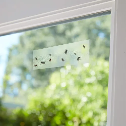 Vista 7 de Faicuk Juego de 20 trampas adhesivas amarillas y 20 tiras para moscas para ventana