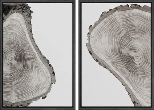 Vista 58 de SIGNWIN Lienzo enmarcado para pared, juego de arte con anillos de árbol de bosque grunge en blanco y negro, ilustraciones de naturaleza silvestre
