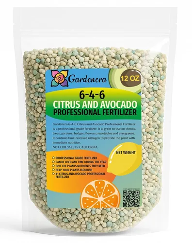 Vista 113 de Fertilizante profesional de palmeras prémium 8-4-8 Plantas en macetas de interior y palmeras de paisaje al aire libre Fertilizante nitrogenado