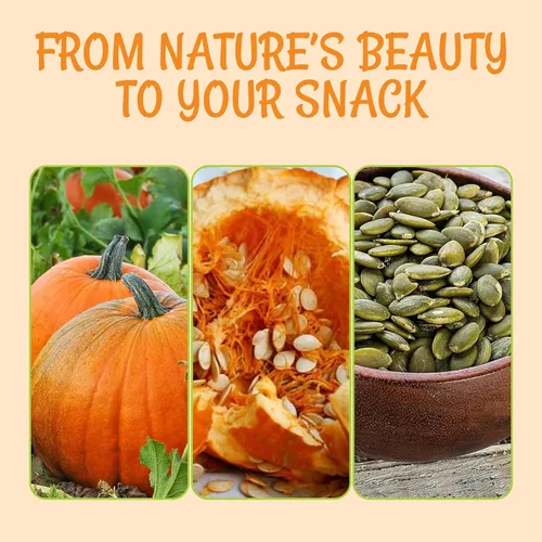 Vista 6 de Oh! Nuts Semillas de calabaza – Saladas tostadas – 1.25 libras – Pepitas sin cáscara – Empaquetadas en bolsa con cierre de cremallera de Nueva York