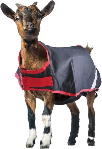 Vista 6 de Horseware Ireland RAHG21-JISK - Abrigo de cabra Excalibur/plateado, XL