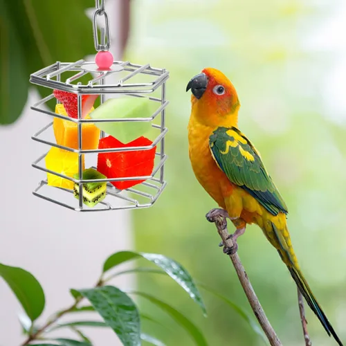 Vista 6 de Alimentador de forraje de acero inoxidable para pájaros, caja de alimentación colgante para guacamayo, cacatúa gris africana, cacatúa, jaula
