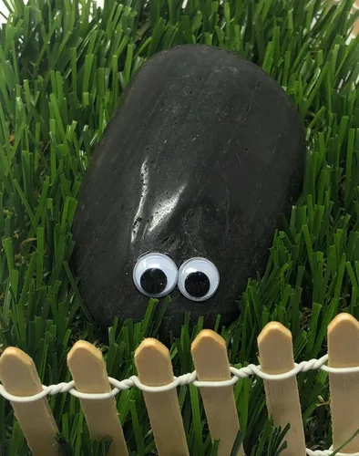 Vista 4 de Rock Pet Googly Wiggle Eyes con kit de adopción de lujo y Dolly