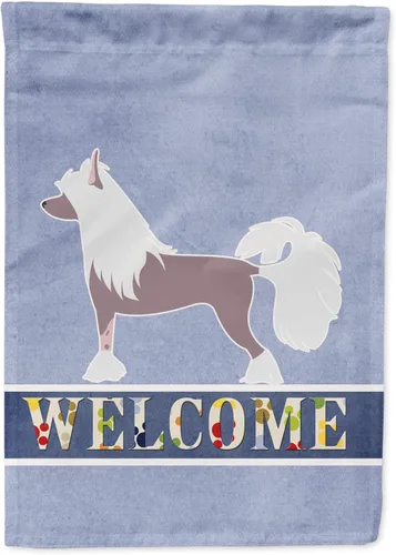 Vista 170 de Caroline's Treasures BB5552GF Affenpinscher Bandera de bienvenida para jardín, bandera decorativa para patio exterior, patio, parterres