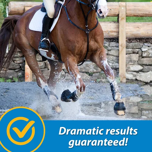 Vista 6 de Farnam Fluidflex Suplemento líquido para articulaciones para caballos, suministro para 128 días, 128 onzas Liquid Joint Supplement for Horses