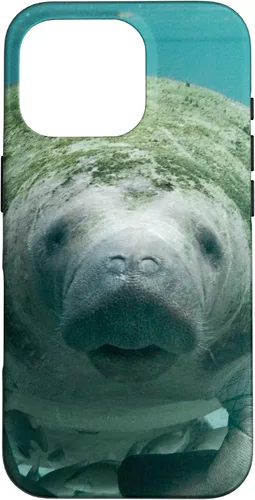 Vista 20 de Manatee Case for iPhone 17