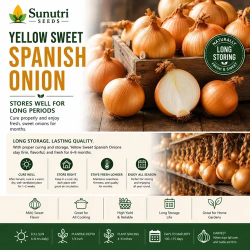 Vista 7 de Semillas de cebolla española dulce amarilla para plantar – Variedad de cebolla bulbante de día largo – Cebollas dulces suaves grandes para jardines