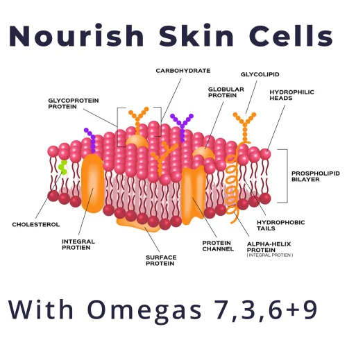 Vista 9 de SeabuckWonders Limpiador facial exfoliante diario de espino cerval de mar orgánico, limpieza profunda, limpiador facial suave con Omega 3,6,7,9