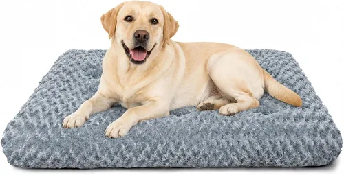 Vista 13 de Cama para perro de tamaño mediano, alfombra lavable de felpa para mascotas Negro