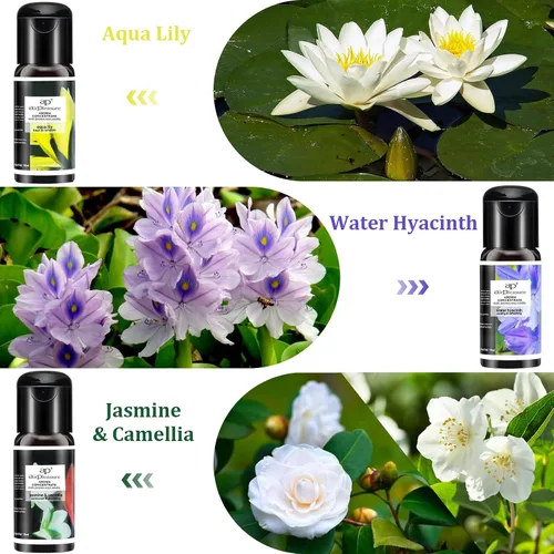 Vista 4 de Blossom - Juego de aceites esenciales para aromaterapia, 6 x 0.5 fl oz para difusor, humidificador, purificador de aire, lirio aguamarina, jacinto