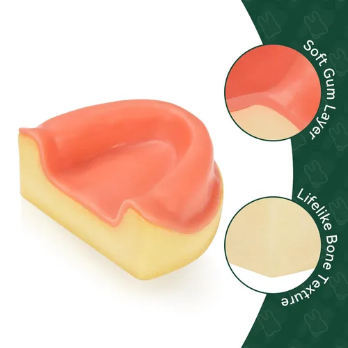 Vista 6 de Ultrassist Entrenamiento de implantes dentales Modelo edéntulo maxilar, maxilar simplificado con tejido suave, gran diente de entrenamiento