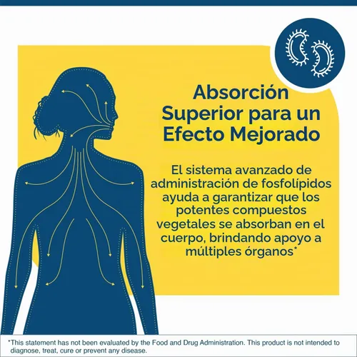 Vista 3 de Researched Nutritionals Elim-A-Cand - Candida Support - Suplementos microbianos e intestinales para la salud con berberina, olmo resbaladizo